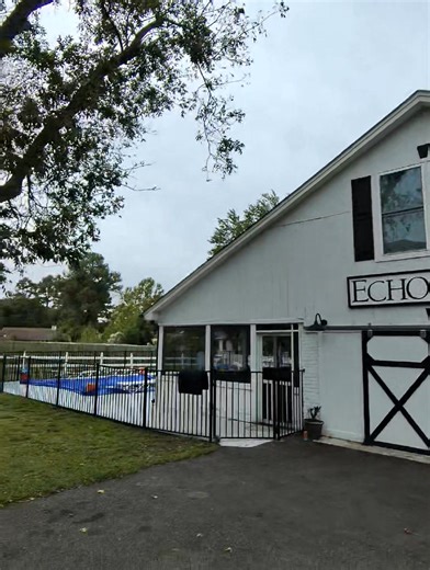 This is why we dont "TOP" trees. Bad cuts plus spike pruning equals future disease and decay along with potential pests that will kill the tree. This guy had 20 foot sections midway up the stems that were rotted through so it was a matter of time before failure. Close to home and brand new pool. We got it done though. | TREE Masters Expert Tree Care