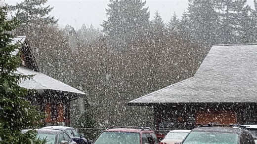 Will it snow in Seattle this week? Here’s what we know