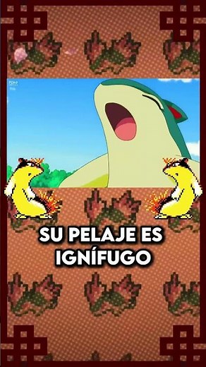 Explicando a QUILAVA