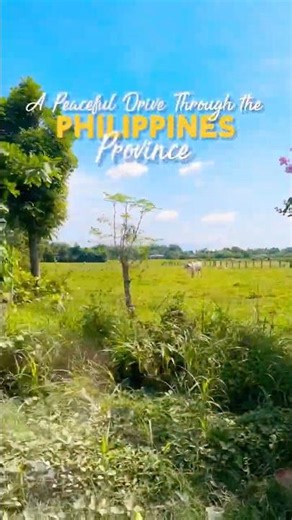 A Peaceful Drive Through the Province in Batangas | PHILIPPINES 🇵🇭| MIKAY TV