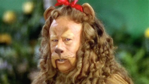 Bizarre things that happened on movie sets