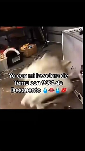 Yo con mi lavadora de Temu con 90% de Descuento💧👄💧💋