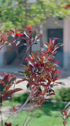 ISMAIL (@stepupacademy2)’s videos with Main Sadqay Ya Rasool Allah - Atif Aslam