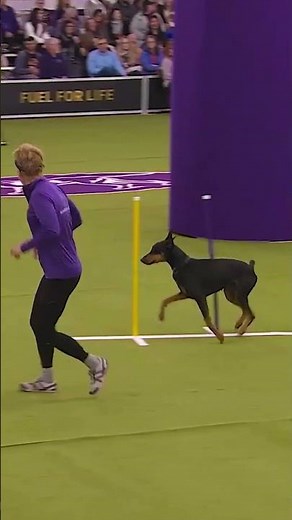 Riley owns the turf