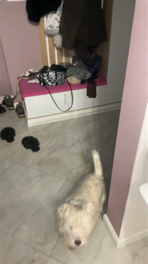 Пиши в телеграмм @AI_agent01