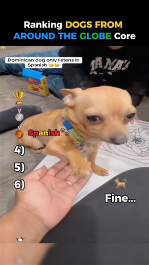 Ranking Dogs From Different Countries Core 🐕🌍