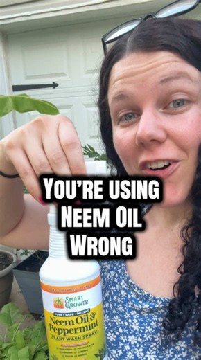 Common neem oil mistakes gardeners should avoid