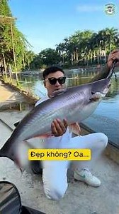 Phần 1 - Đại ca "Kính Râm" câu cá bằng xúc xích
