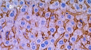 FIGS TV Spot, 'Awesome Scrubs for Awesome Humans'