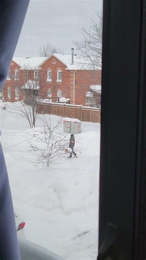 Covering Mailbox with snow