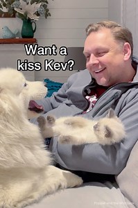 Who wants to see what a normal day is for us at wolfpack HQ? Well its made up of snugs, play fighting, competition, sleep and of course, a little bit of mud 🙈 But you'll never guess who got muddy! | Poppet and the Wolf Pack