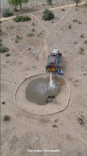 रेगिस्तान में हिरणो के लिए पानी😍 #water #desert #villagelife