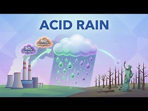 What is Acid Rain? 🌧️ Causes & Effects of Acid Deposition for Kids!