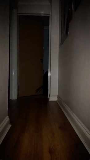 43K views · 925 reactions | más She crawls around at night #fyp #foryoupage #demon #ghost #possessed #haunted #ghosthunting | Hauntingfacts | Facebook