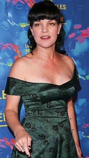 **NCIS** has become one of the most successful and enduring television dramas in history, captivating audiences for over two decades. The series follows a team of special agents from the Naval Criminal Investigative Service as they solve complex crimes involving the U.S. Navy and Marine Corps. From its very first episode, *NCIS* established a unique blend of action, humor, and heartfelt storytelling that set it apart from other procedural dramas. The characters’ strong chemistry and emotional de