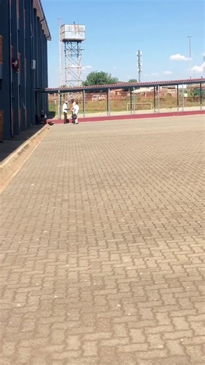 Exciting Shaker Challenge on TikTok!