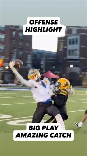 Amazing One Handed Catch‼️ #2n6sports #football #viralvideo #sportshighlights