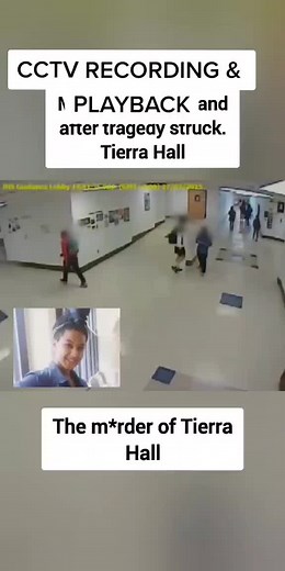 Kosta CCTV Footage at School | Real Video Surveillance