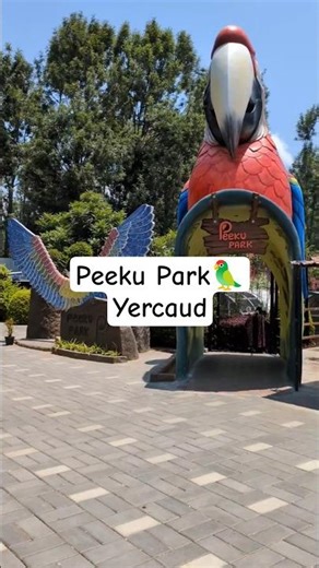 Peeku Park Yercaud | Exotic Conure Parrots 🦜