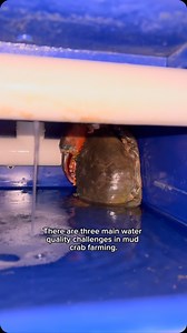 1.2K views · 214 reactions | Water quality is the key to successful...