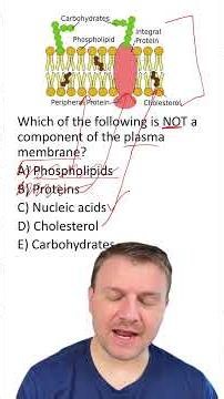MCQ: Cell Membrane