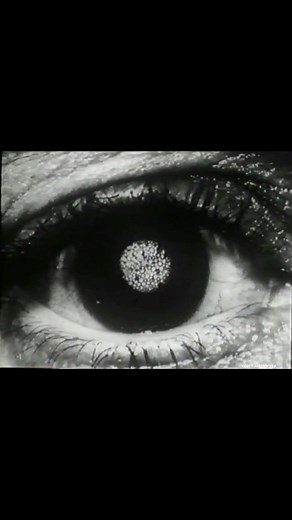 ASTRALEYES on Instagram: "𓁿 Out of the Unknown 1965 BBC2 designed by Charles McGhie #vintagetelevision #bbc2 #60stv #opart #experimentalfilm #meditationpractice"