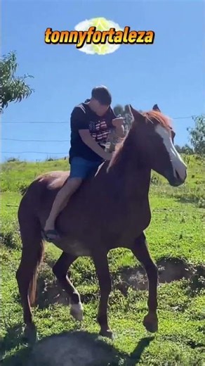 a bicharada vai pra cima