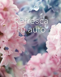 Nuevo Mini Gel Auto, refresca tu auto por hasta 20 días. | Glade