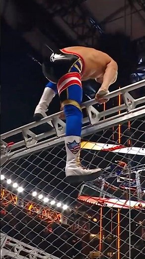 Cody from the top of the cage