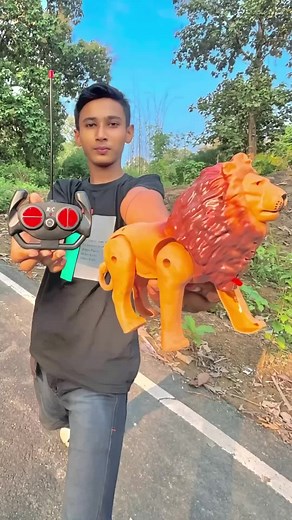 Remote Control Lion Electric Power Toy Review