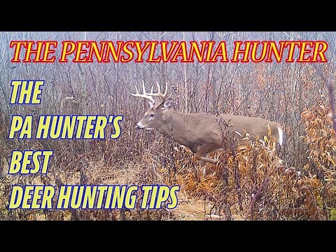 7 Best PA Deer Hunting Tips | The Pennsylvania Hunter!