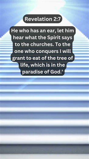 Journey of faith and spiritual growth | Revelation 2:7 Daily Bible Verse