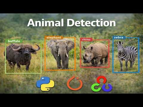 Train Faster R-CNN on Custom Dataset using PyTorch | Animal Detection Full Tutorial