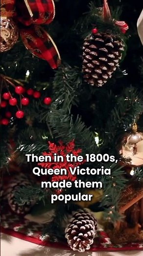 The surprising history of Christmas trees 🎄