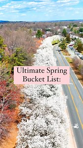 4.8K views · 61 reactions | Your ultimate spring guide to...