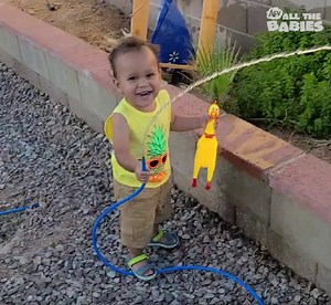 62K views · 1.6K reactions | They're just having fun playing with water! | All The Babies | Facebook
