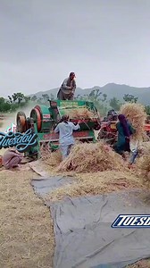 1.7M views · 10K reactions | #Kaliwal #kaliwalrangoona #Swabiwall | SWABI Gateway | Facebook