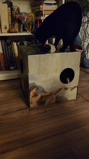 Fancy box for the gatos! 💅 @catboxclassics 🖤 The 🤡 song! 😝 #fancybox #tuxedocat #catsoftiktok #blackkitties #adoptedkitties #monalisa #clownsong #peewee #classicalart #catlady #cattoys #catlover #painting #gatos