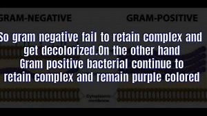Gram stain tes, principle, procedure and result interpretations