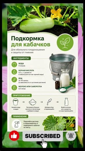 Подкормка для кабачков щ0