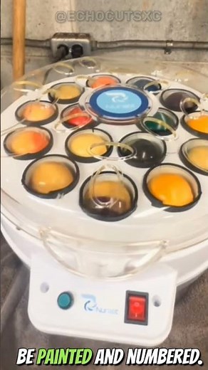 How Pool Balls Are Made 🎱 | Inside the Manufacturing Process #HowItsMade #PoolBalls #Billiards