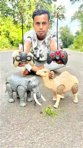 Rc Camel & Rc Elephant Unboxing 🐘🐫👍 | Remote Control Animals