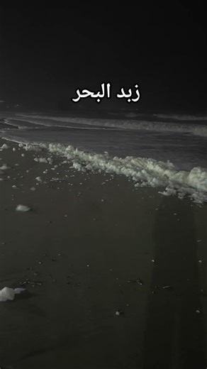 زبد البحر l écume de mer #travel #viral #viralvideo #nature #tourism
