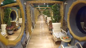 🌿 Have you ever visited the Carnival Spirit’s hidden gem? Welcome to The Jungle Hall a quiet, tropical-themed walkway tucked away on Deck 3! 🐾🌺 From cozy oceanview seating to lush jungle vibes, it’s the perfect place to relax away from the crowds. 👇 Tell us have you discovered The Jungle on your Carnival Spirit cruise? What did you think? #CarnivalSpirit #HiddenGem #JungleHall #CruiseVibes #SeadayMagic | Carnival Cruise Line Miami Blog