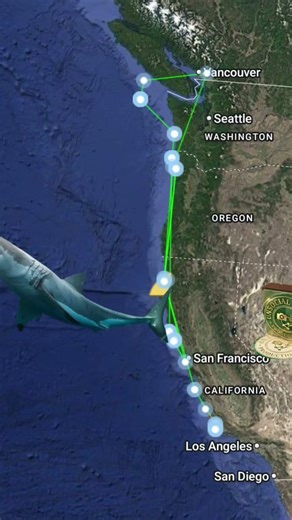 Kkara is on the move again heading towards Oregon again Kara is a 16-foot (5-meter), 2,200-pound