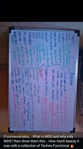 SAP MDG: Common used Objects #god #sap #sapmdg #ai #joule