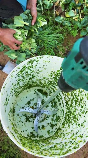 Vegetable chopper in bucket #shorts