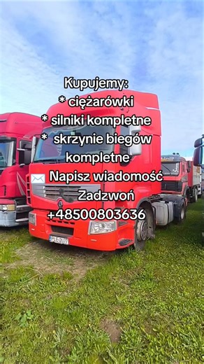 Skup aut ciężarowych i części! #daf #mechanik #scania #renault #trucker #volvo #mercedes #shorts