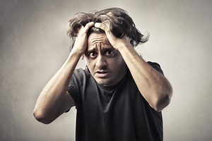 Meet the invasives: Burmese python will eat your cat, won't apologize