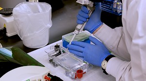 Design to Implementation Study for Development and Patient Validation of Paper-Based Toehold Switch Diagnostics